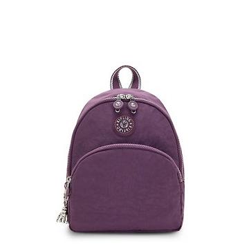 Kipling Paola Small Rugzak Paars | NL 1617LI